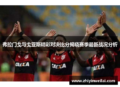 弗拉门戈与戈亚斯精彩对决比分揭晓赛季最新战况分析